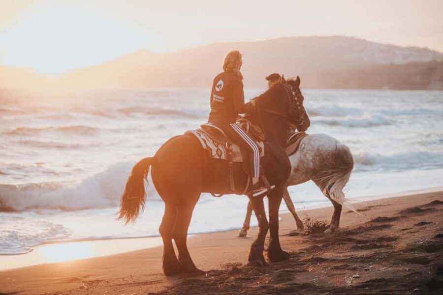 Santorini: Extreme Horse Safari with Beach Gallop - Vineyard Paths to Eros Beach: The Part You’ll Appreciate More Later