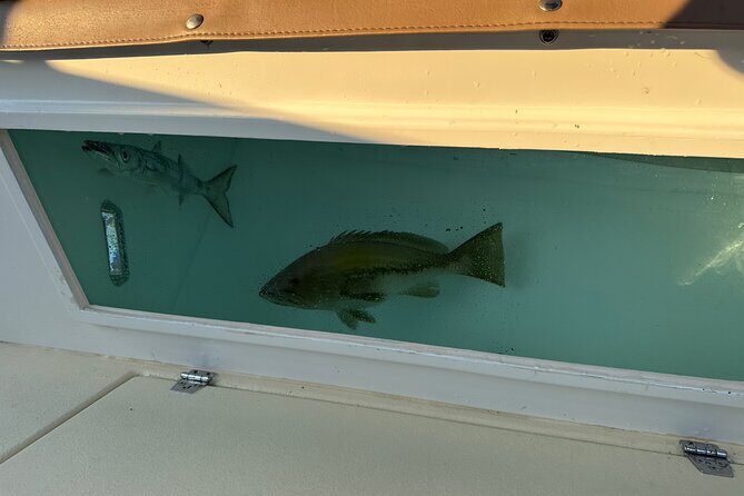 Santorini Fishing Private Cruise boat tour - BBQ, Snorkeling - The BBQ Lunch on the Boat: Fish You Catch, Tomato Fritters, and Real Flavor
