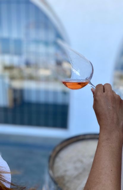 Santorini Fun day: Horseriding- Wine Tasting - Tapas - A horseback route through southern Santorini