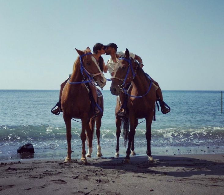 Santorini Fun day: Horseriding- Wine Tasting - Tapas - From volcanic coast to local wine