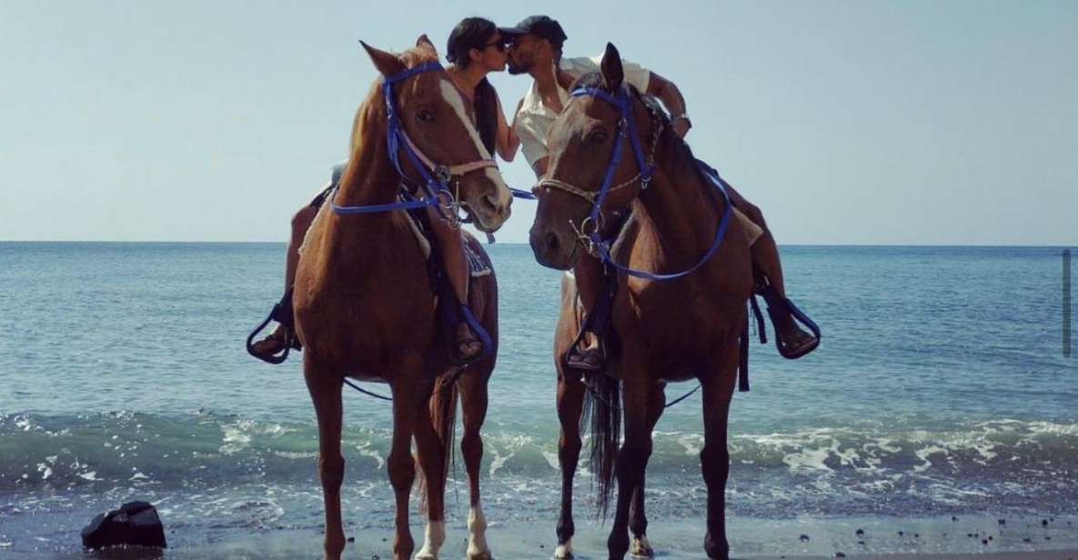 Santorini Fun day: Horseriding- Wine Tasting - Tapas - What the riding setup means for you