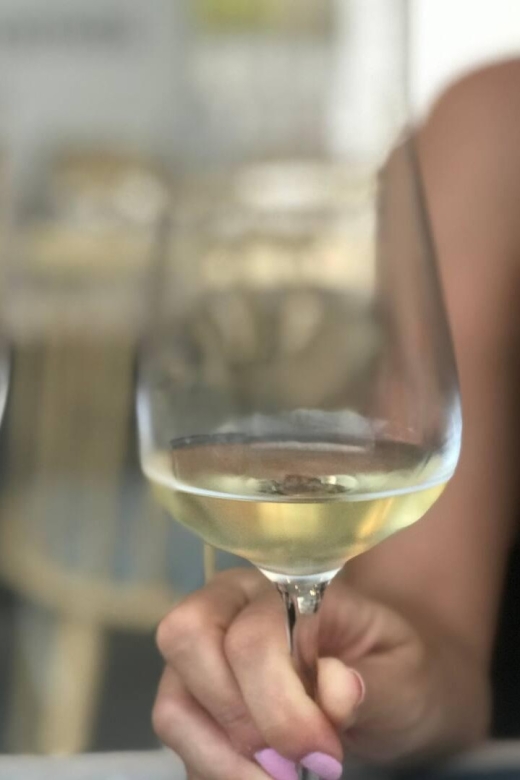 Santorini Fun Wine tour-Visit 2 Wineries-transfers included - The first 15-minute ride to the winery