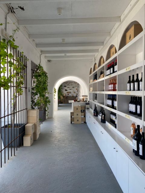 Santorini Fun Wine tour-Visit 2 Wineries-transfers included - Who will enjoy this three-hour tour
