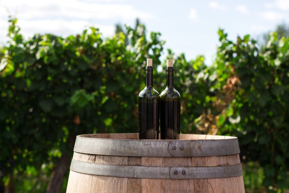 Santorini: Greek Cooking Class with Wine Tasting - A four-hour introduction to Santorini on a plate