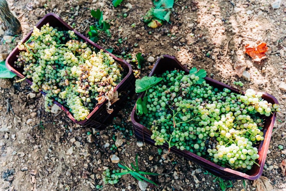 Santorini: Greek Cooking Class with Wine Tasting - Why Santorini’s tomato balls and fava matter