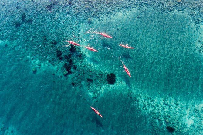 Santorini Guided Sea Kayaking with Light Lunch and Pick-up Option - What to Bring (Because the Sea Will Take It Anyway)