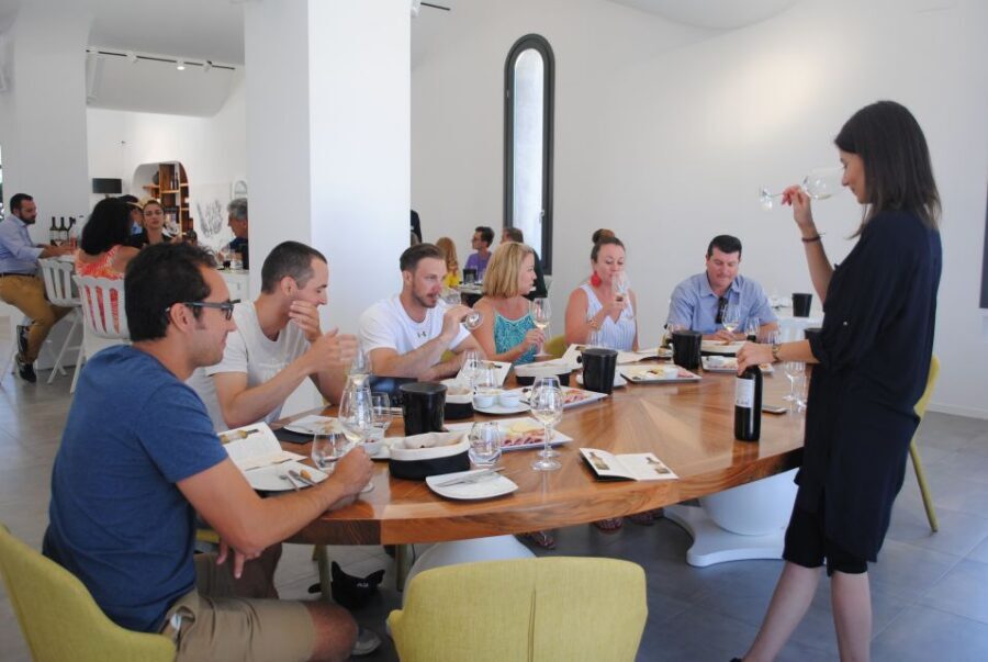 Santorini: Guided Wine Tour with Pickup and Snacks - Getting picked up and set loose in Santorini’s wine country