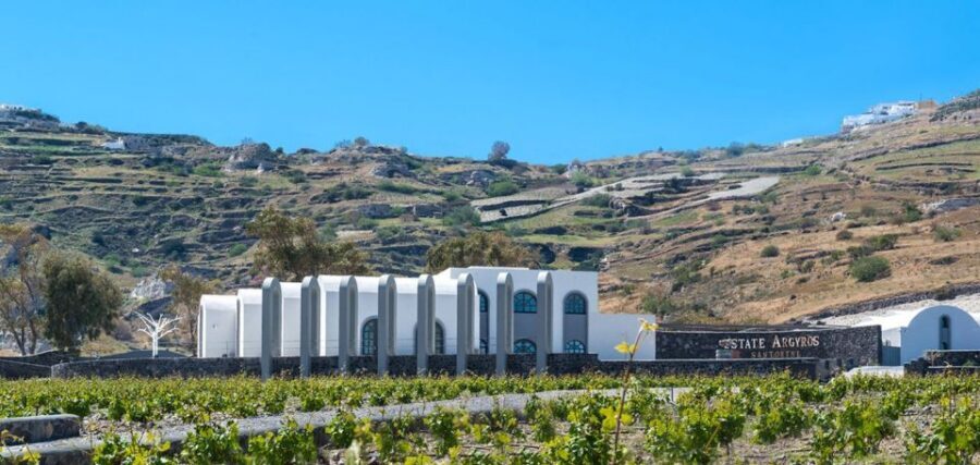 Santorini: Guided Wine Tour with Pickup and Snacks - Art Space Winery and Museum: pumice chambers and contemporary Greek art