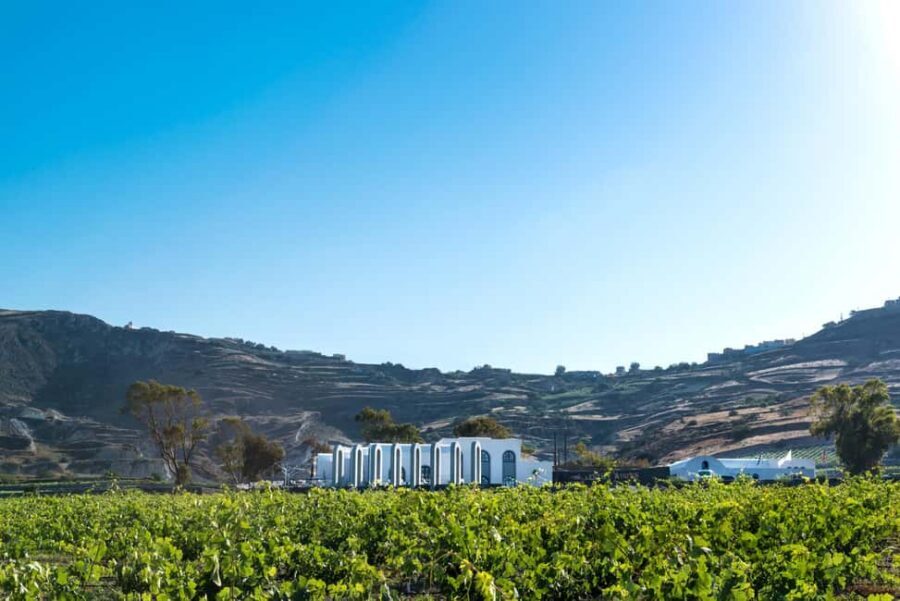 Santorini: Guided Wine Tour with Pickup and Snacks - Price and value at about $218: worth it for the right goals