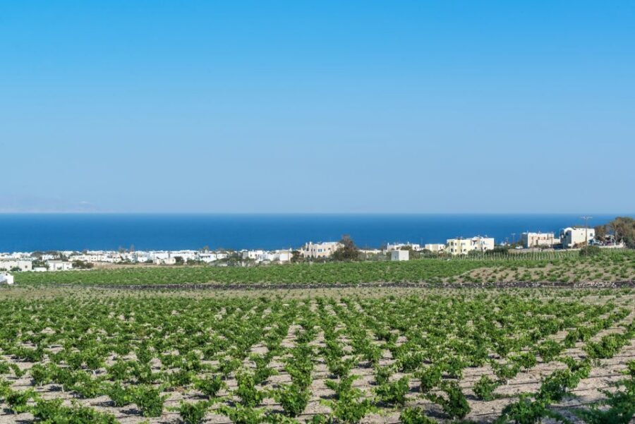 Santorini: Guided Wineries Private Tour with Wine Tastings - Getting From Place to Place: Pickup, Timing, and Staying Comfortable