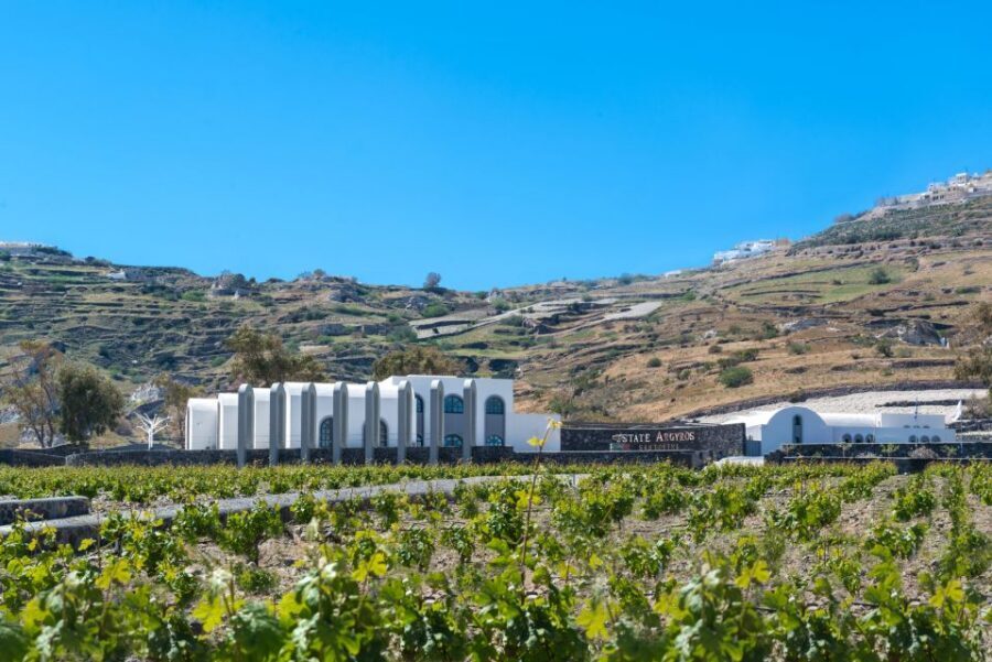Santorini: Guided Wineries Private Tour with Wine Tastings - Stop 2: Koutsoyannopoulos Cave Museum and the 22-Language Audio Tour