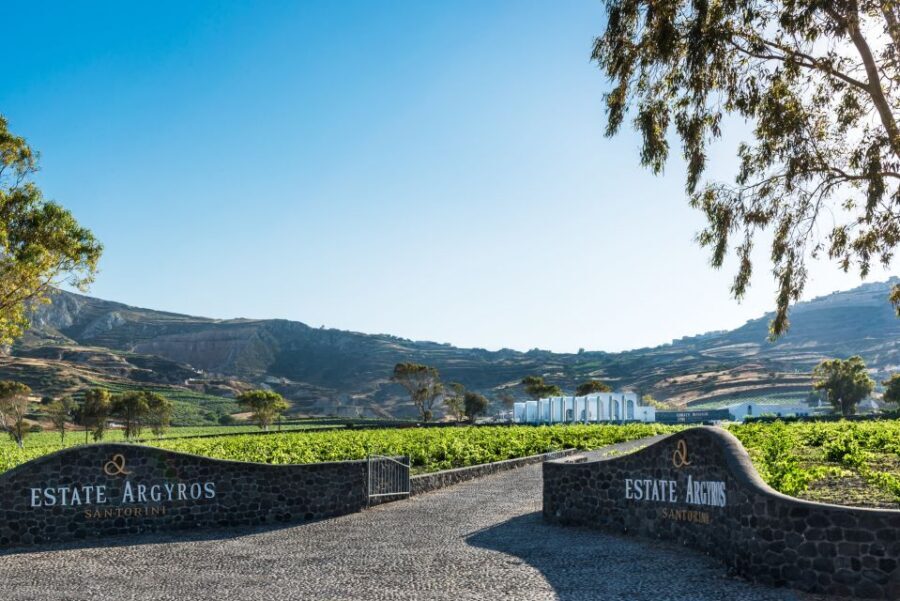 Santorini: Guided Wineries Private Tour with Wine Tastings - Guides, Personal Attention, and Why People Keep Raving About the Host