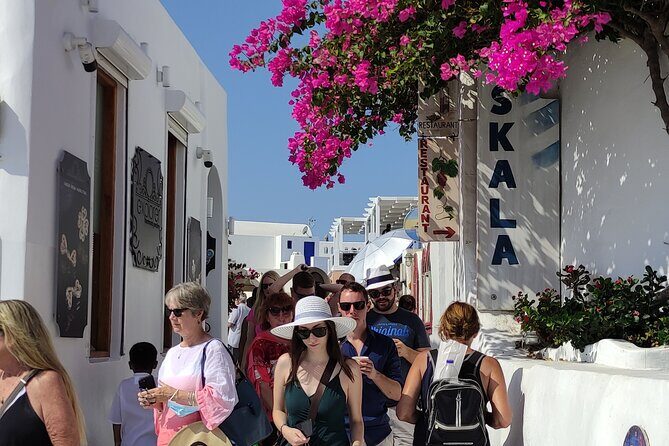 Santorini: Half-Day Island Sightseeing Tour - Should you book this Santorini highlights tour?