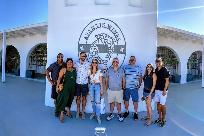 Santorini Half Day Wine Tasting & Winery Tour with Pickup - Key points to know before booking