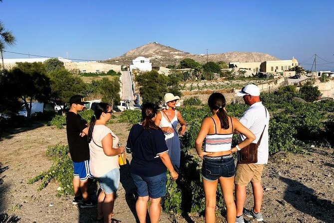 Santorini Half Day Wine Tasting & Winery Tour with Pickup - Artemis Karamolegos brings a modern winery setting