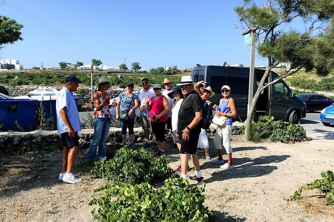 Santorini Half Day Wine Tasting & Winery Tour with Pickup - What is included with the $192.66 price