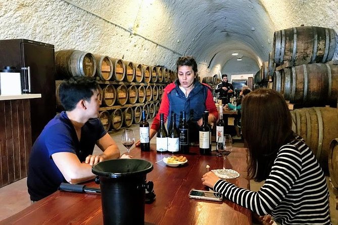 Santorini Half Day Wine Tasting & Winery Tour with Pickup - The local driver-guide matters