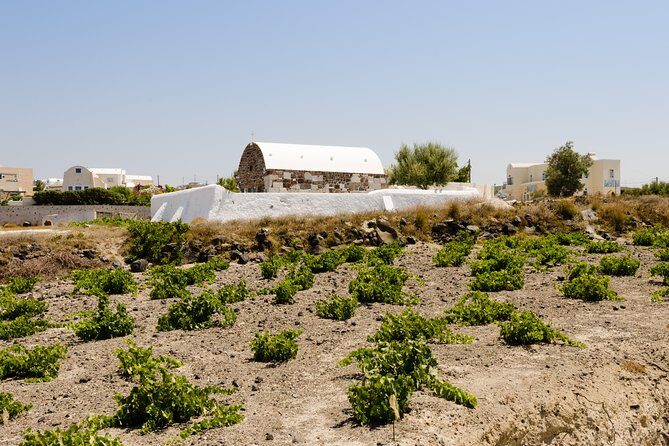 Santorini Highlights and Venetian Castles Small-Group Day Tour - Perissa Black Sand Beach: Real Break Time for Swimming and Lunch