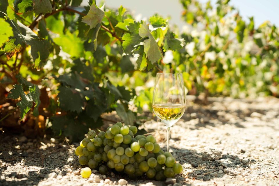 Santorini: Highlights prive tour & wine tasting-local guide - Transport and timing: why private matters here