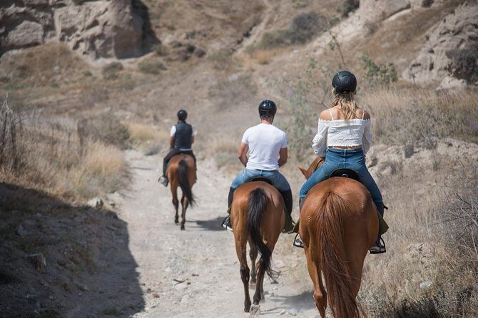 Santorini Horse Riding to Black Sandy Beach - Horses you can trust: calm, well cared for, and first-ride friendly