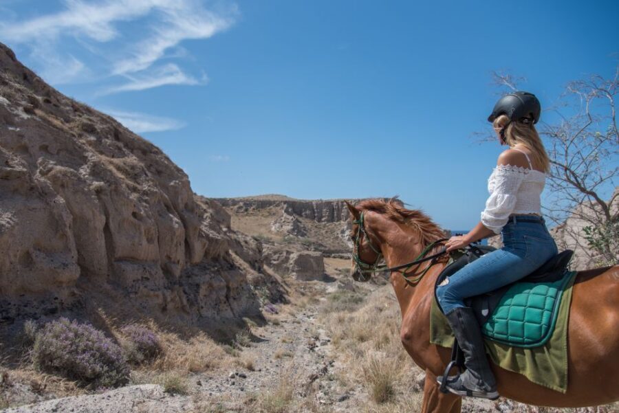 Santorini: Horse Riding Trip to Black Sandy Beach - What $100 Buys You for 1.5 Hours