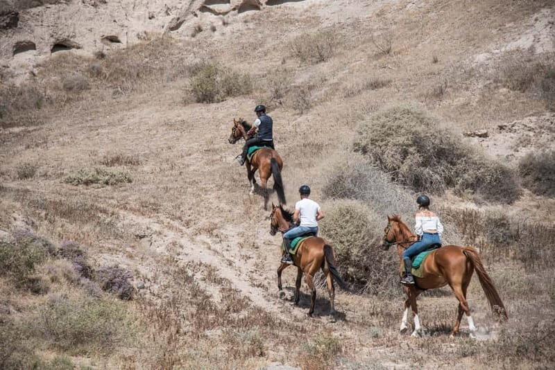 Santorini: Horse Riding Trip to Black Sandy Beach - Riding the Black Sandy Beach in Vlichada