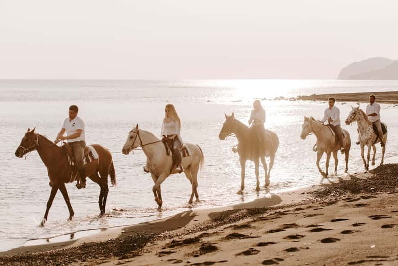 Santorini: Horseback Riding on the Black Sandy Eros Beach - Horses and safety: calm, but still not a playground