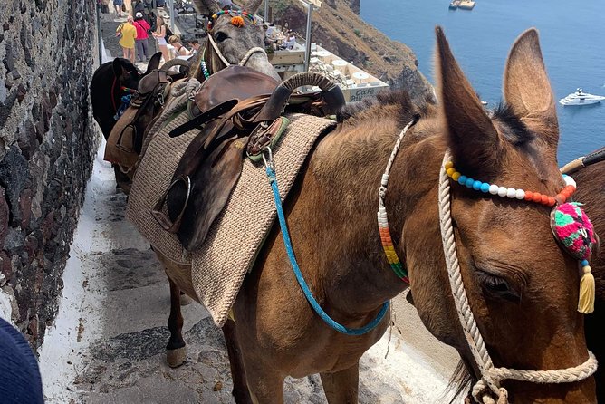 Santorini: Local Life Full Day Tour - Is $662.26 good value for your group?