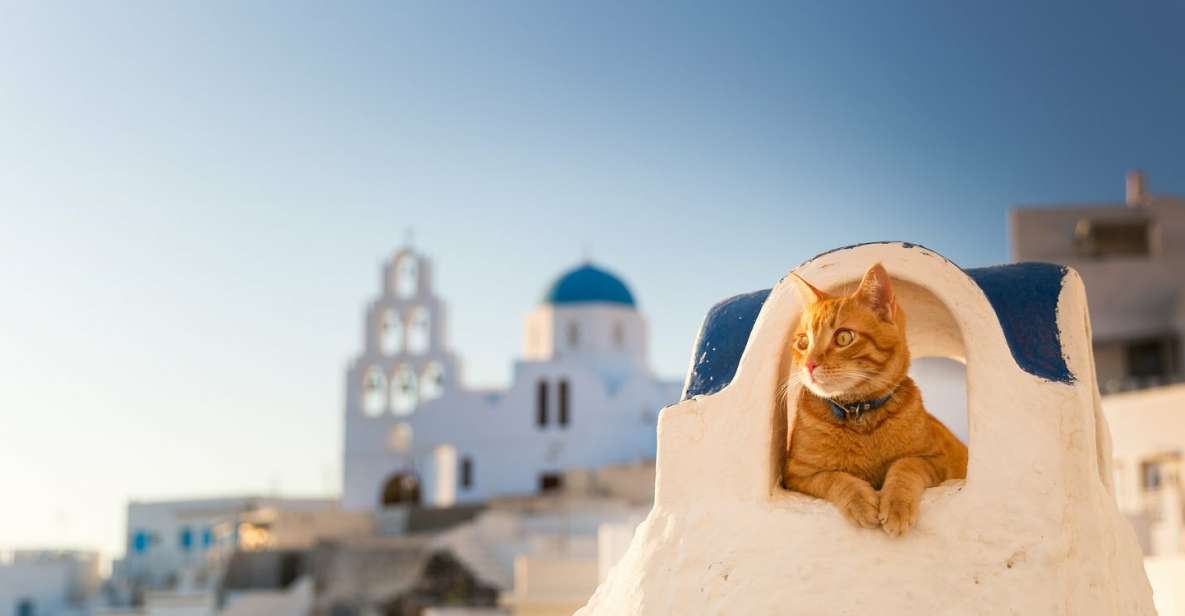 Santorini: Private 4-Hour Chauffeur Service - Key points to know before booking