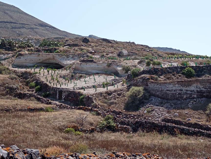 Santorini: Private Agri-Educational Visit to an Organic Farm - Key points to know before you go