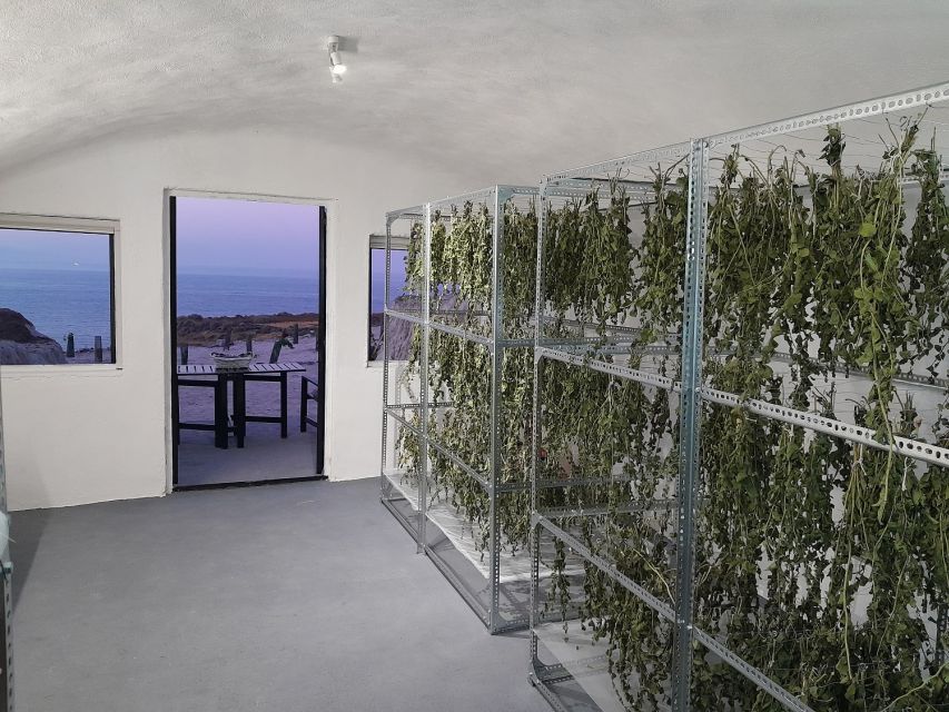 Santorini: Private Agri-Educational Visit to an Organic Farm - Why this farm visit adds another side of Santorini