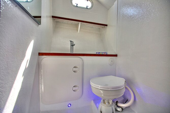 Santorini Private Cruise Sightseeing Tour with BBQ and Drinks - What $511.75 per person really buys