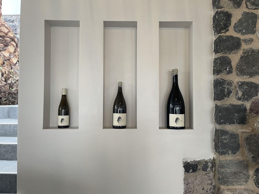 Santorini Private Daytime Wine Tour with Certified Sommelier - Who should book this tour