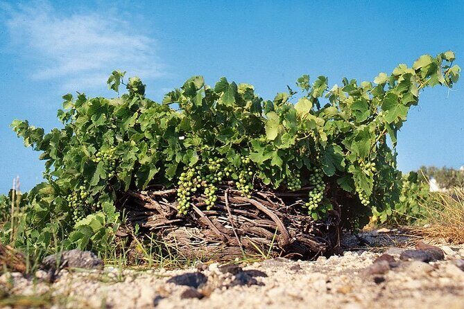 Santorini Private Highlights Tour & Wine Tasting with local guide - Red Beach: Volcanic Sand Drama You Can Actually See