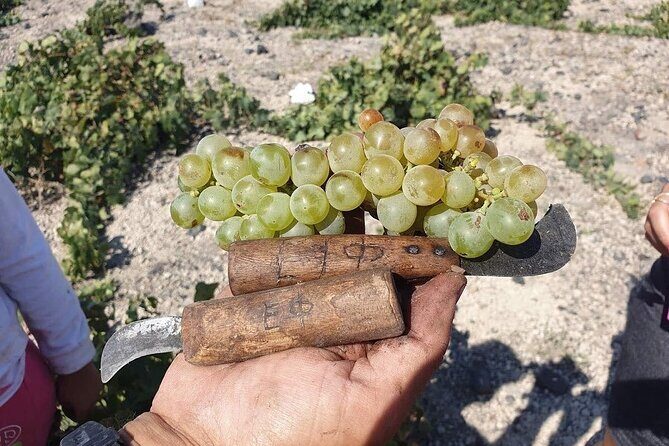 Santorini Private Highlights Tour & Wine Tasting with local guide - Prophet Elias Monastery and Pyrgos: Two Ways to Get High-Value Views