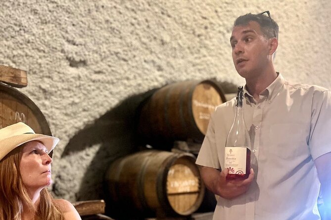 Santorini Private Wine Tasting Tour: Up to 4 Wineries & Lunch - What the private guide adds
