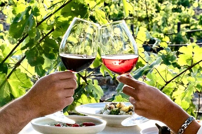 Santorini Private Wine Tasting Tour with Greek Lunch - Who will enjoy this tour most?