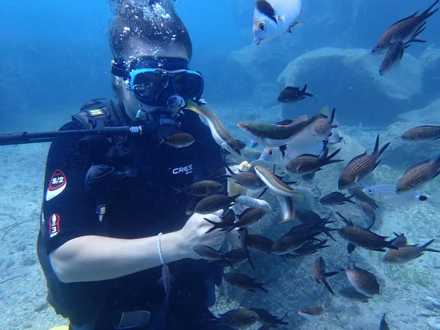 Santorini: Scuba Diving - What happens at Navy’s Waterworld