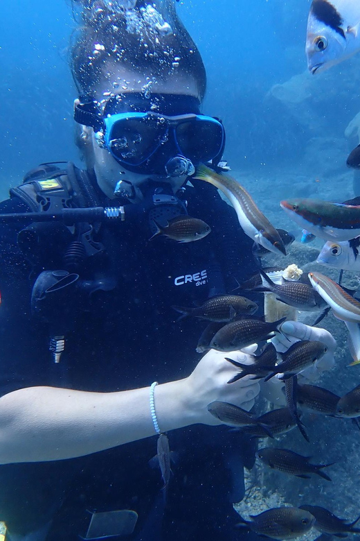 Santorini: Scuba Diving - Timing your morning around the session