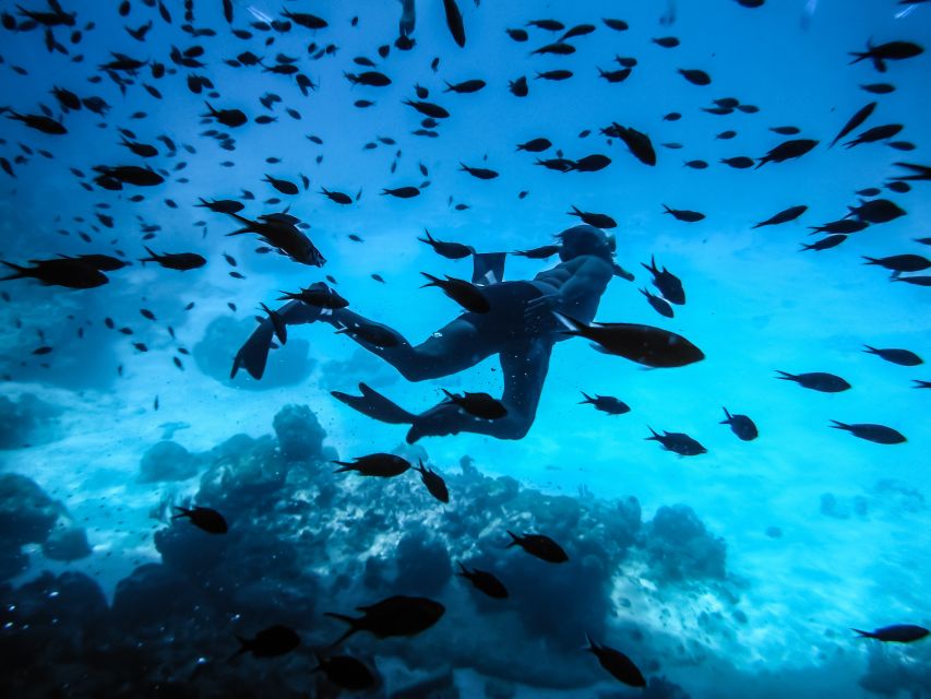 Santorini: Scuba Diving Experience for Beginners - Key points to know before booking