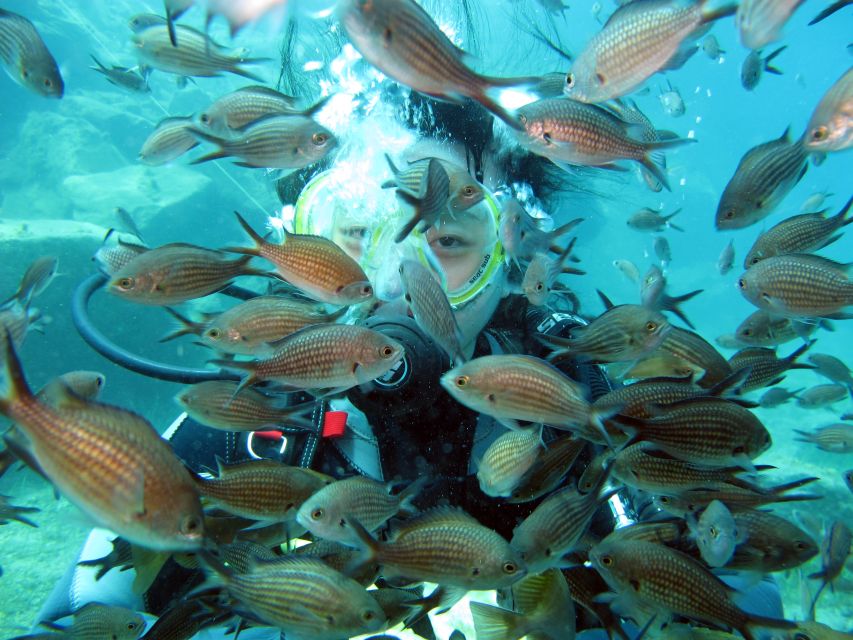 Santorini: Scuba Diving Experience for Beginners - Practical ways to make the day easier