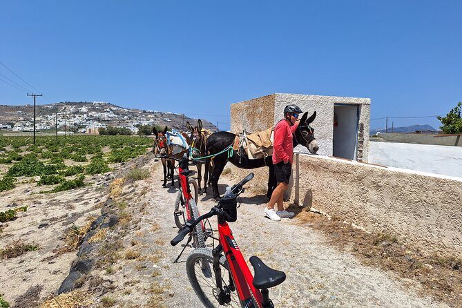 Santorini Small Group Guided E-bike Tour & Local Tomato Museum - A brief breather at Perissa Black Sand Beach
