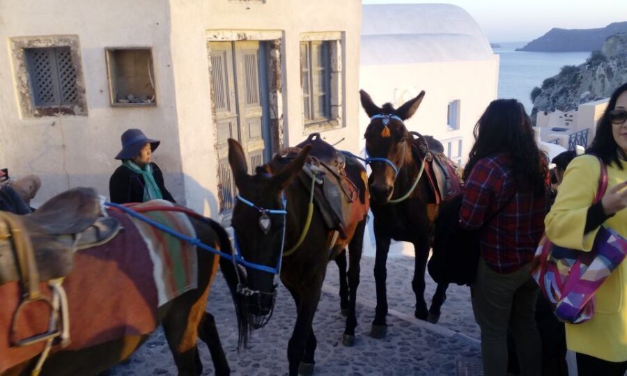 Santorini: Small-Group Highlights Tour of Venetian Castles - Oia inside a Venetian castle: narrow streets and sunset on your schedule