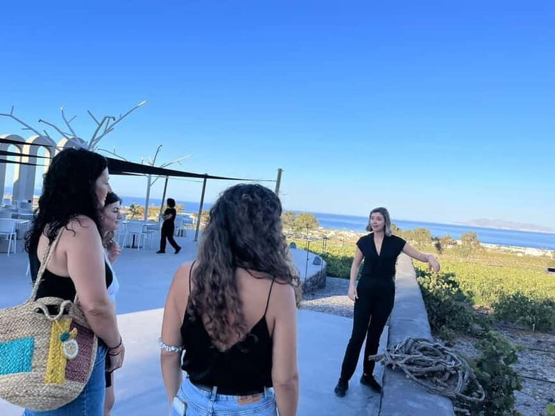 Santorini: Small Group Tour of 3 Local Wineries - Price Check: What $218 Buys You on Santorini