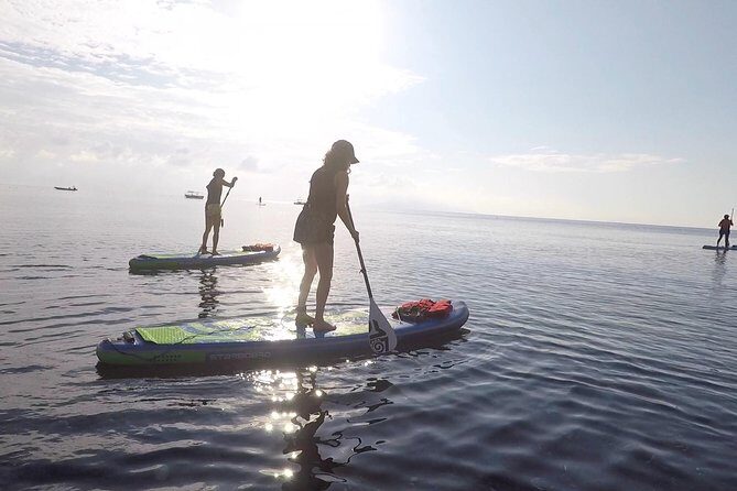 Santorini Stand-Up Paddle and Snorkel Adventure - Getting your balance: the SUP lesson and safety rhythm
