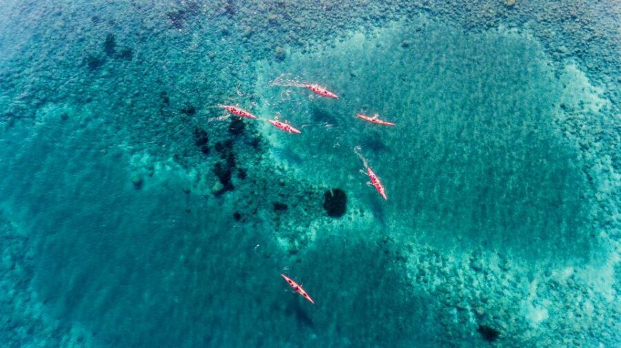 Santorini: Sunset Sea Kayak with Light Dinner - Should You Book This Santorini Sunset Sea Kayak With Dinner?