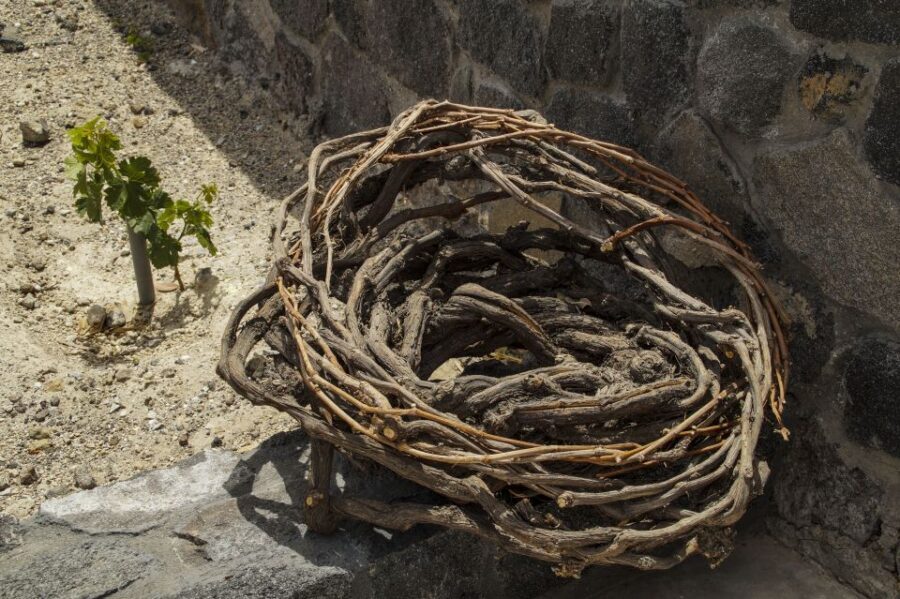 Santorini: Three Wineries and One Brewery Tour with Tastings - Should You Book This Santorini Beer and Wine Tour?