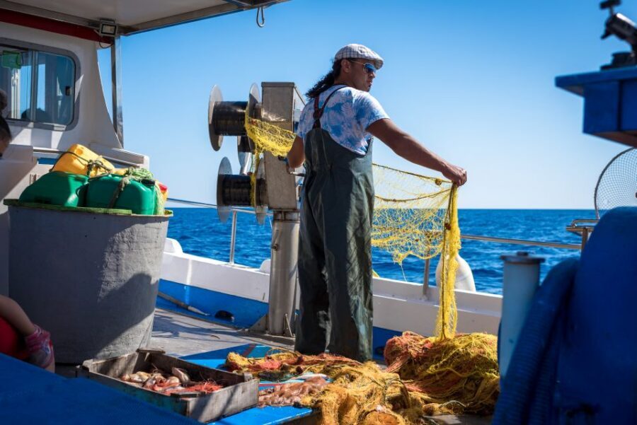 Santorini: Traditional Fishing Trip and Fresh Fish Lunch - Practical Tips to Make Your Day Smooth