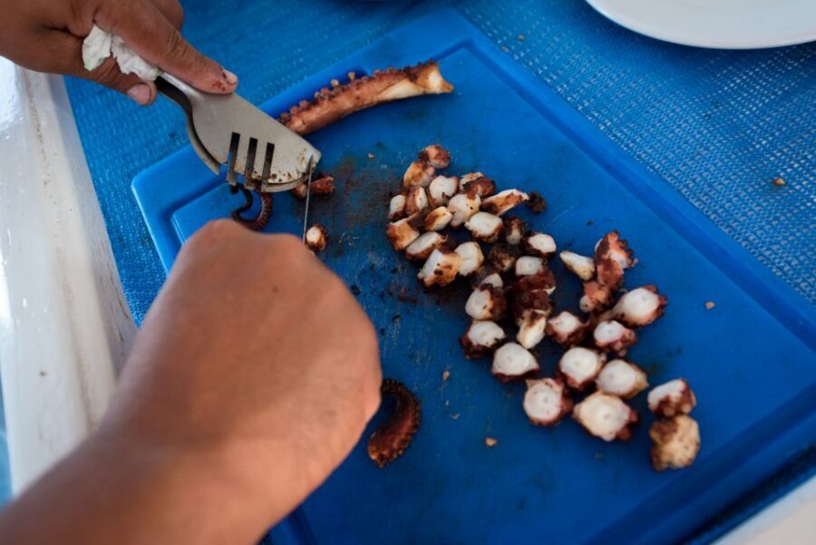 Santorini: Traditional Fishing Trip and Fresh Fish Lunch - Captain Anthi and the Family Crew: Traditional Fishing in Plain English