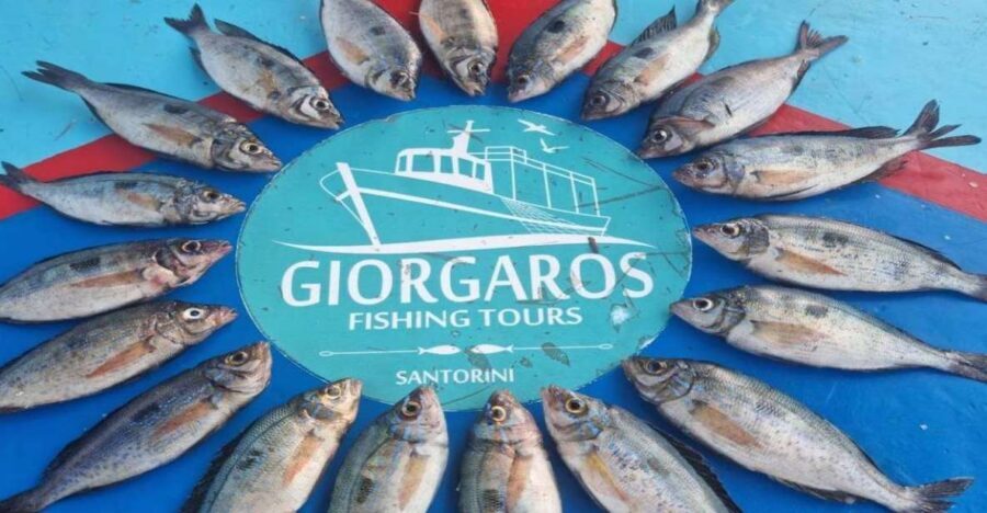 Santorini: Traditional Fishing Trip and Fresh Fish Lunch - What Fishing Techniques You’ll See (And What Fish to Expect)